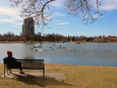 Person sitting on a bench while observing a lake